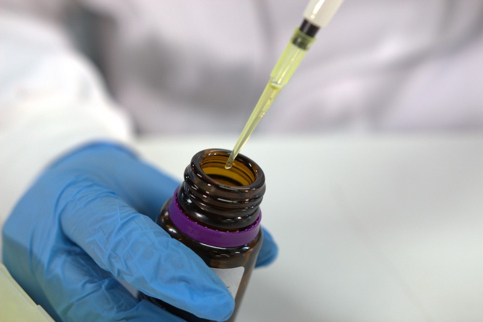 Estudo da Unila revela que cannabis medicinal pode recuperar memória em pacientes com Alzheimer