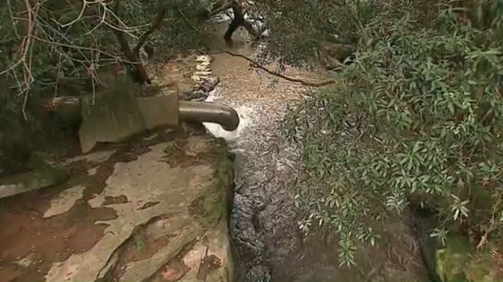 Sanepar identifica descarte irregular de esterco em rio de Maringá e abastecimento é normalizado